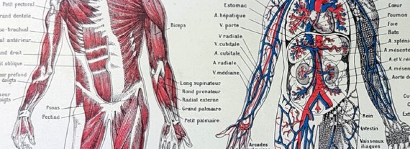 PREVOĐENJE MEDICINSKE DOKUMENTACIJE